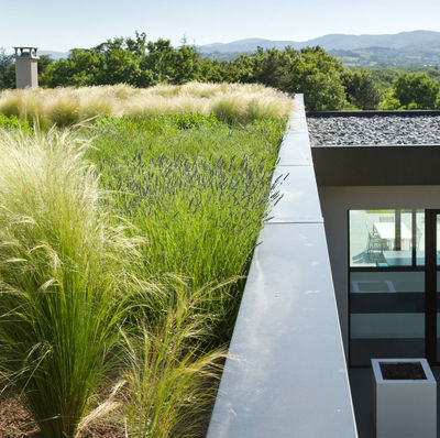 Зелений дах на плоских мембранних кришах