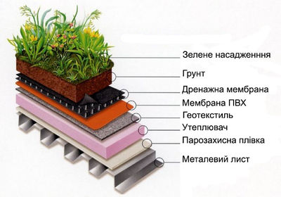 Структура зеленого даху з мембраною ПВХ