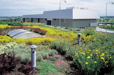 Зелені дахи з мембраною ПВХ трава квіти